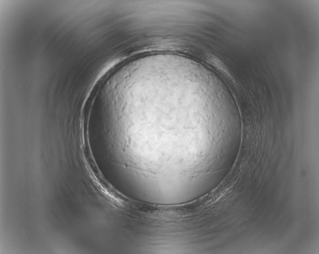 X0000060561079200511171559