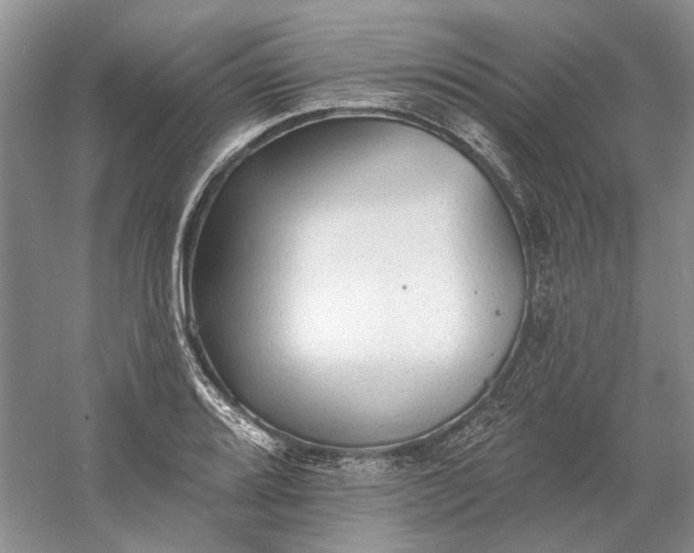 X0000060561080200511171559