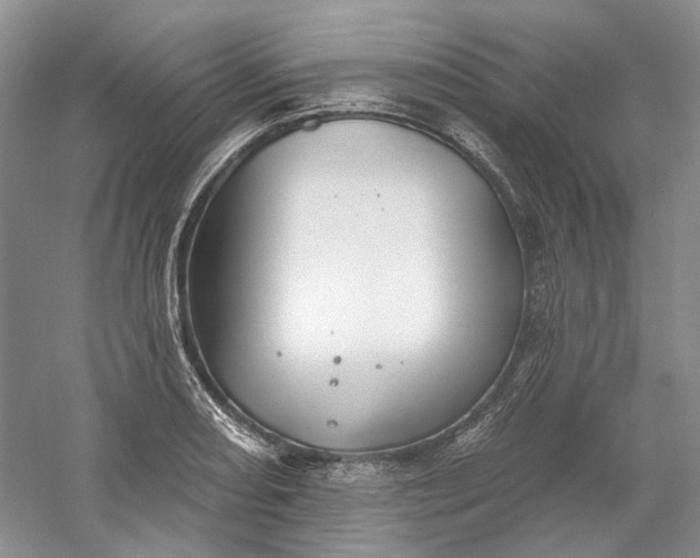 X0000060561082200511171559