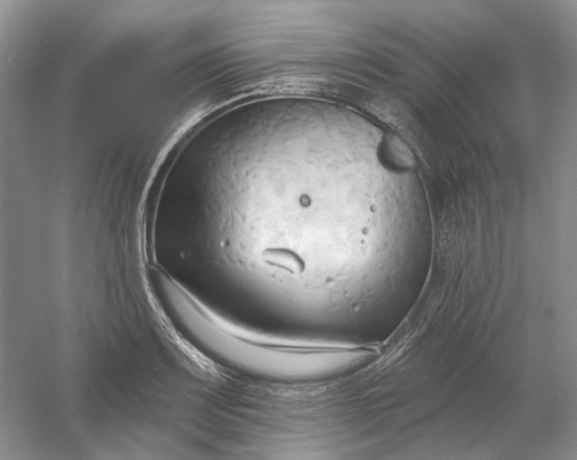 X0000060561083200511171559