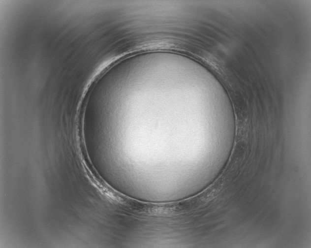 X0000060561086200511171559