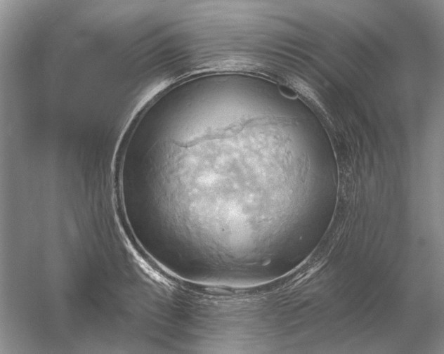 X0000060561087200511171559