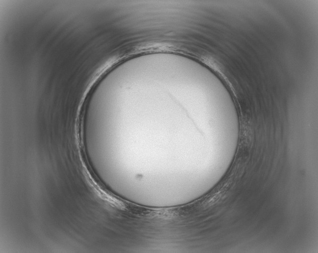 X0000060561090200511171559