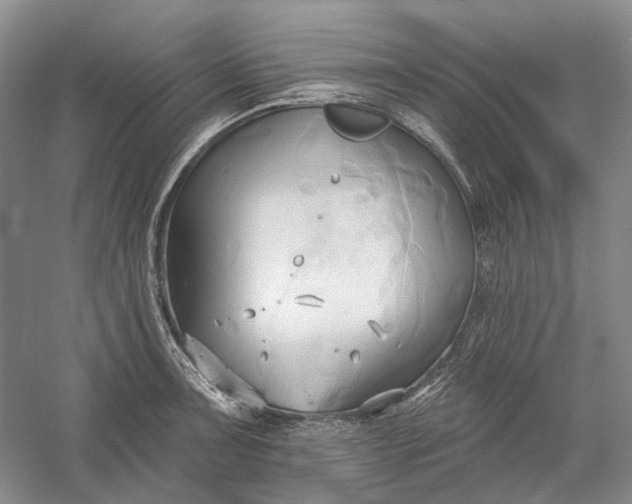 X0000060561091200511171559