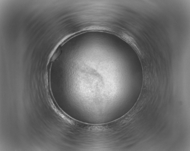 X0000060561092200511171559