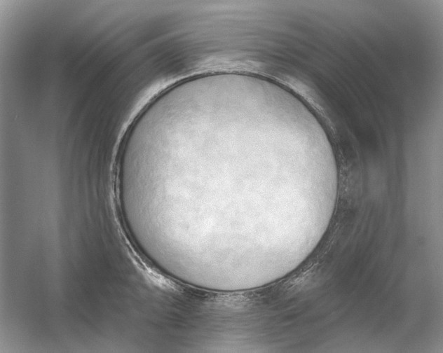 X0000060561094200511171558