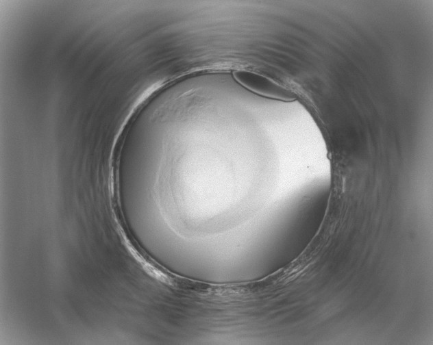 X0000060561095200511171558