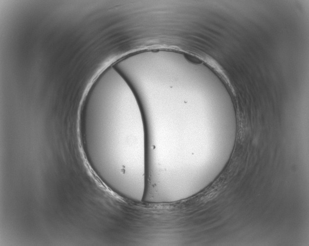 X0000060561096200511171558