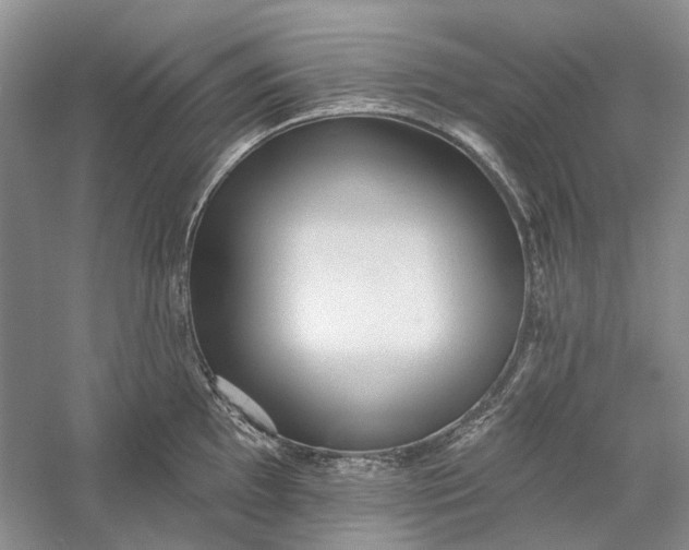 X0000060561097200511171558