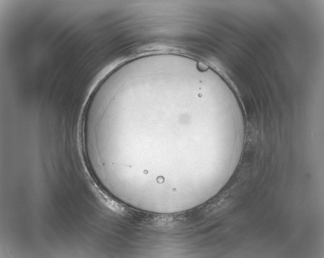 X0000060561098200511171558