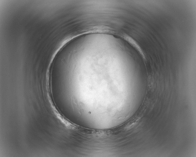 X0000060561099200511171558