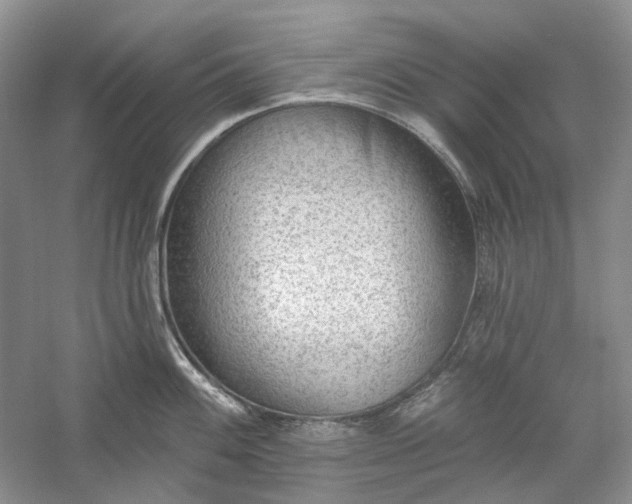 X0000060561100200511171558