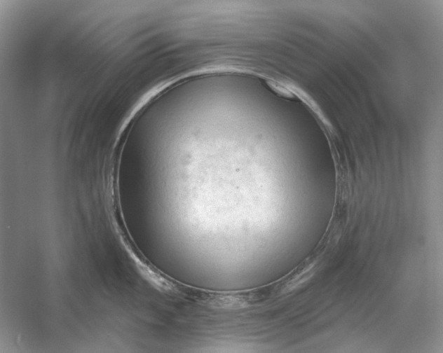 X0000060561101200511171558