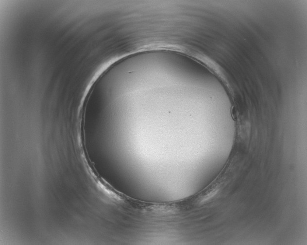 X0000060561102200511171558