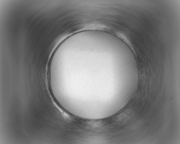 X0000060561103200511171558