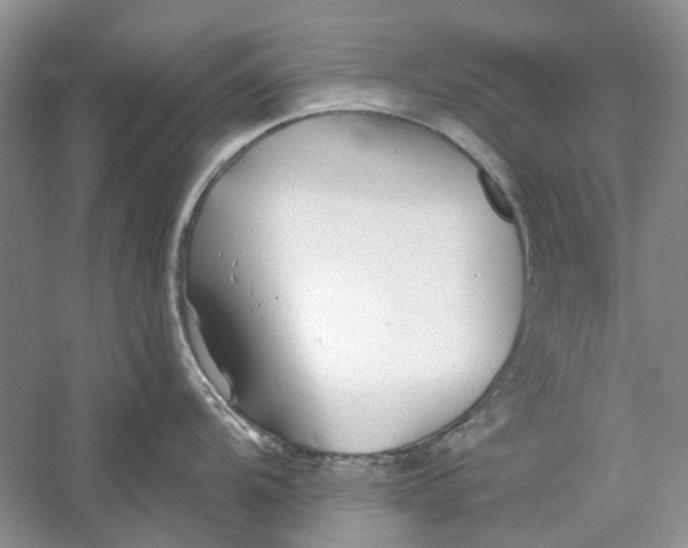 X0000060561104200511171558