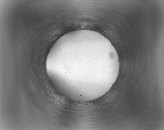 X0000060561105200511171558