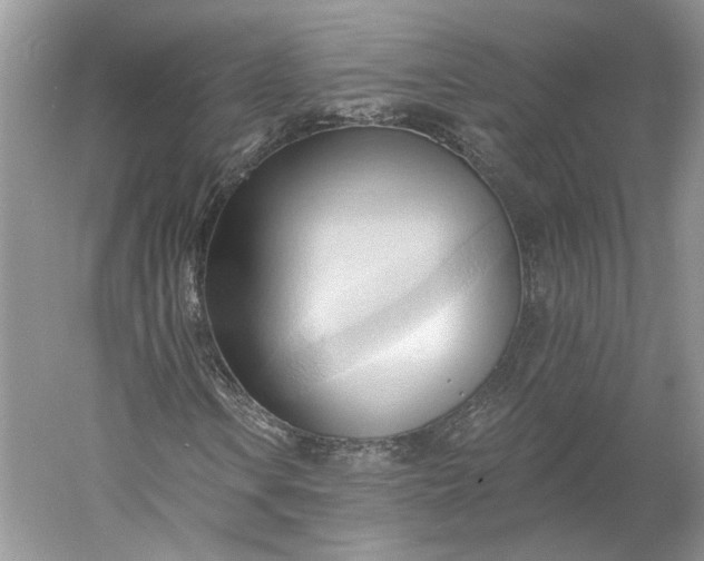 X0000060561106200511171558