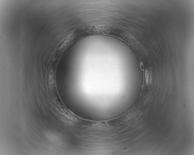 X0000060561107200511171558