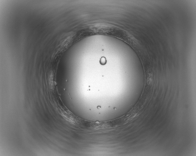 X0000060561108200511171558