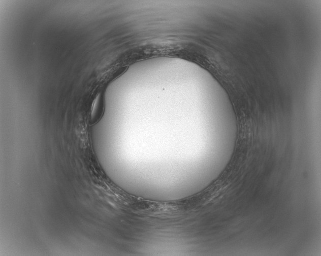 X0000060561109200511171558