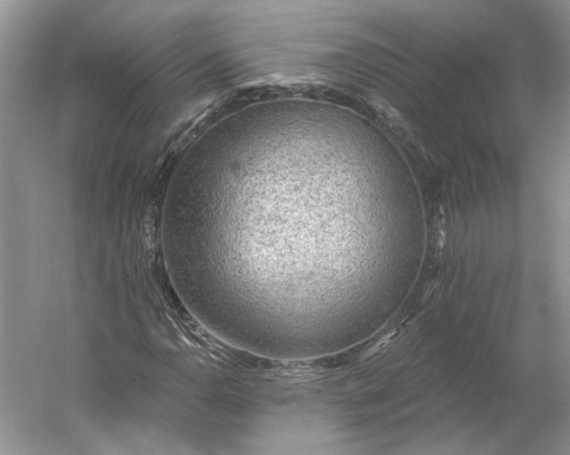 X0000060561110200511171558