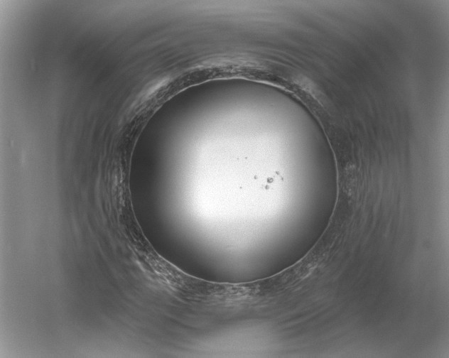 X0000060561111200511171558