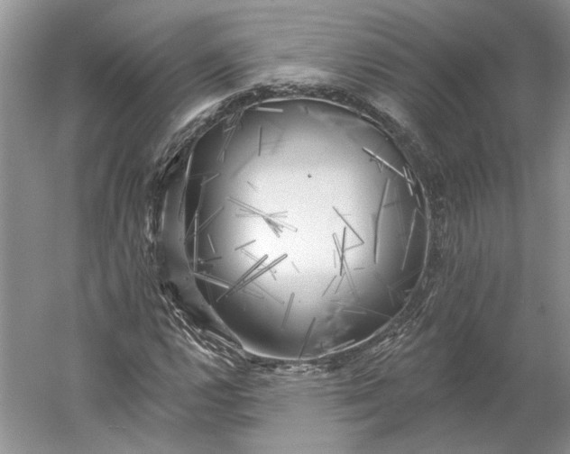 X0000060561112200511171558