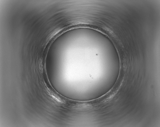 X0000060561113200511171558