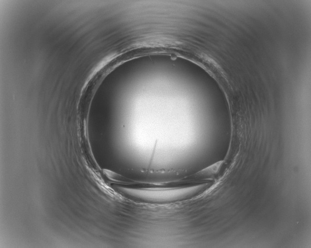 X0000060561114200511171558