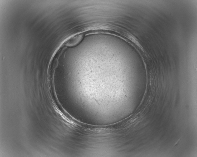 X0000060561116200511171558