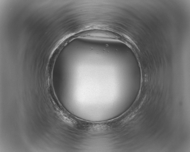 X0000060561117200511171558