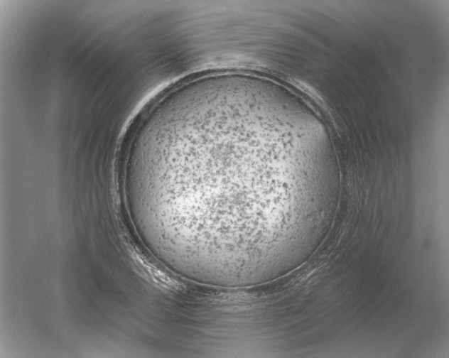 X0000060561120200511171558