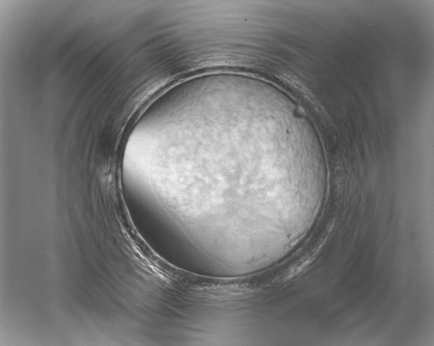 X0000060561121200511171558