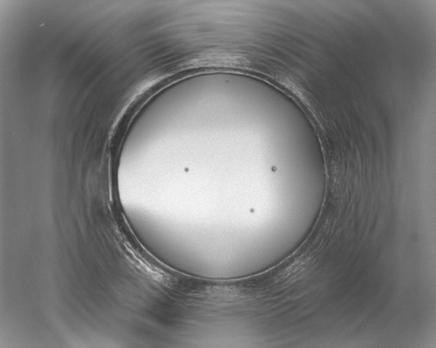 X0000060561123200511171558