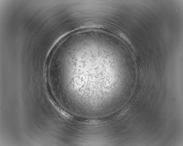 X0000060561124200511171558