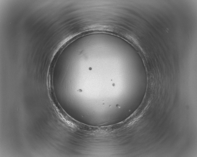 X0000060561125200511171558