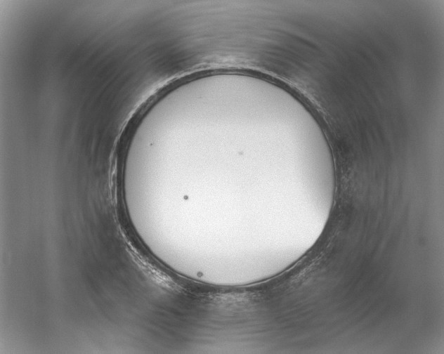 X0000060561126200511171558