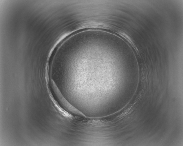 X0000060561128200511171558