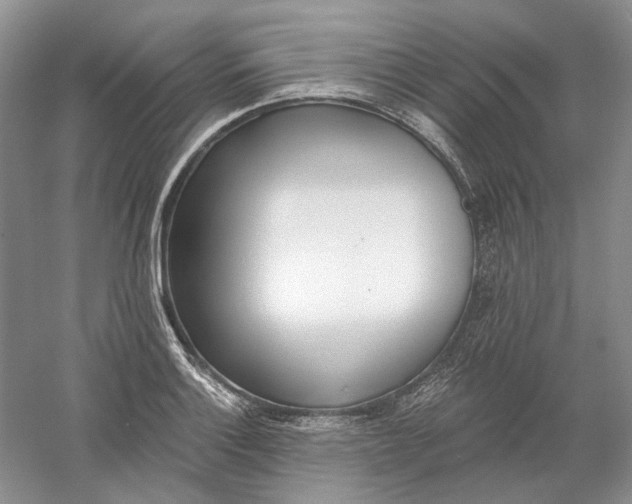 X0000060561132200511171558