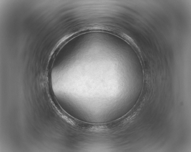 X0000060561133200511171558