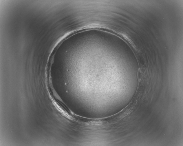 X0000060561134200511171558