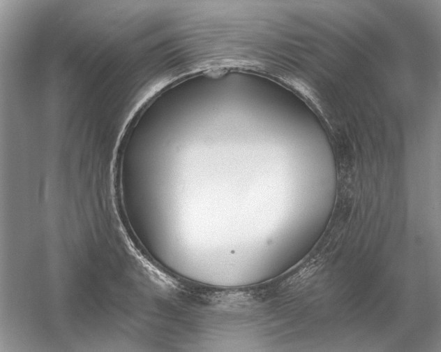 X0000060561135200511171558