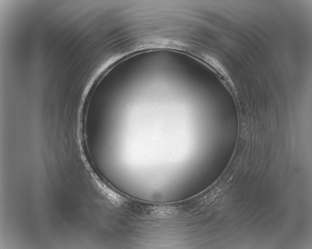 X0000060561136200511171558