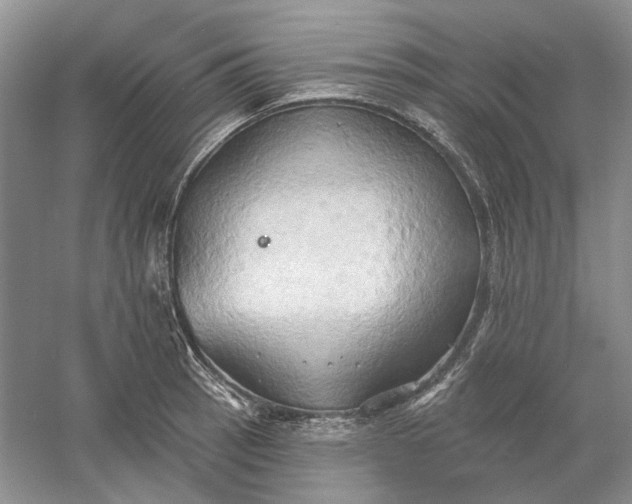 X0000060561137200511171558