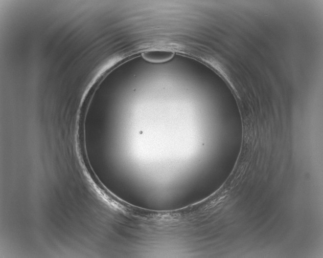 X0000060561139200511171558