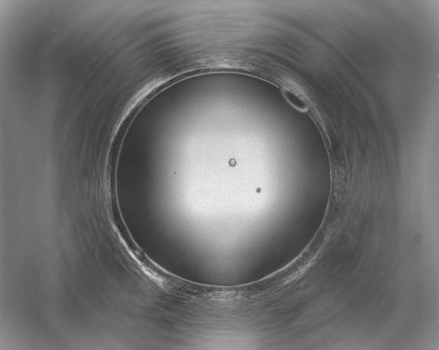 X0000060561141200511171558