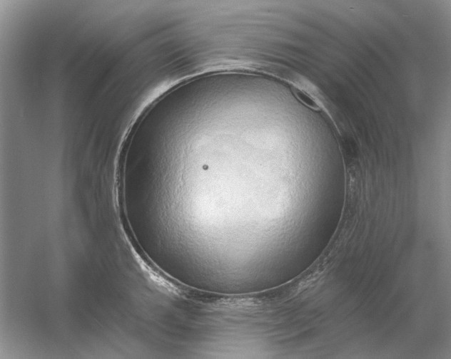 X0000060561143200511171558