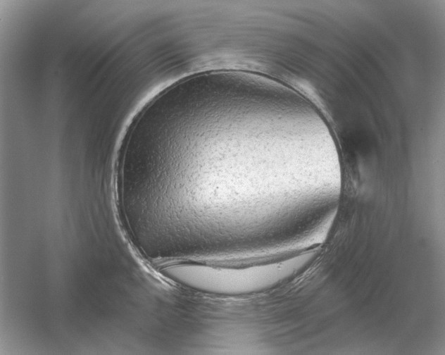 X0000060561144200511171558