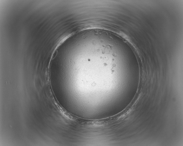 X0000060561145200511171558